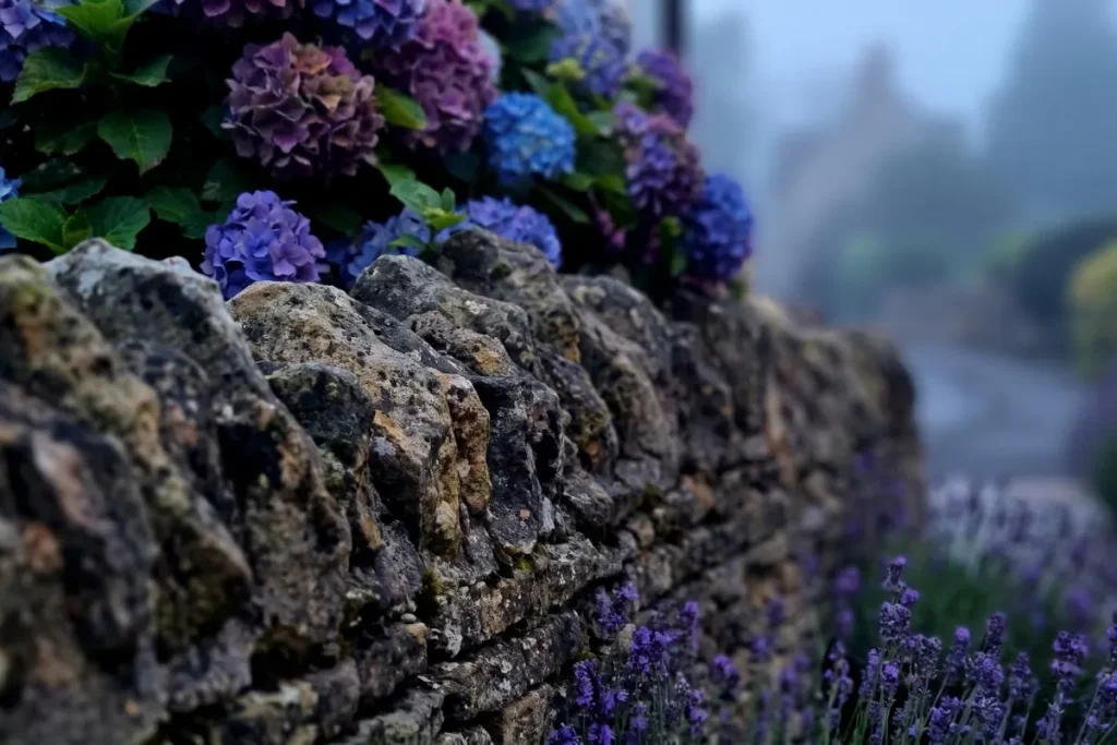 Alt Text Principal:

Close-up of a rustic dry-stone garden wall with vertical coping stones, bordered by blooming blue hydrangeas and purple lavender.