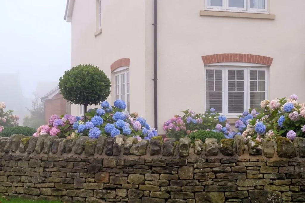 Dry stone wall below rendered facade